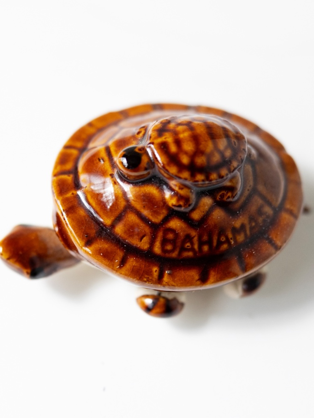 Souvenir Bahamas brown bobblehead turtle with smaller turtle on its back
